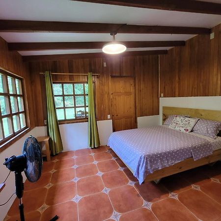 Corcovado Guest House Drakes Bay Eksteriør billede