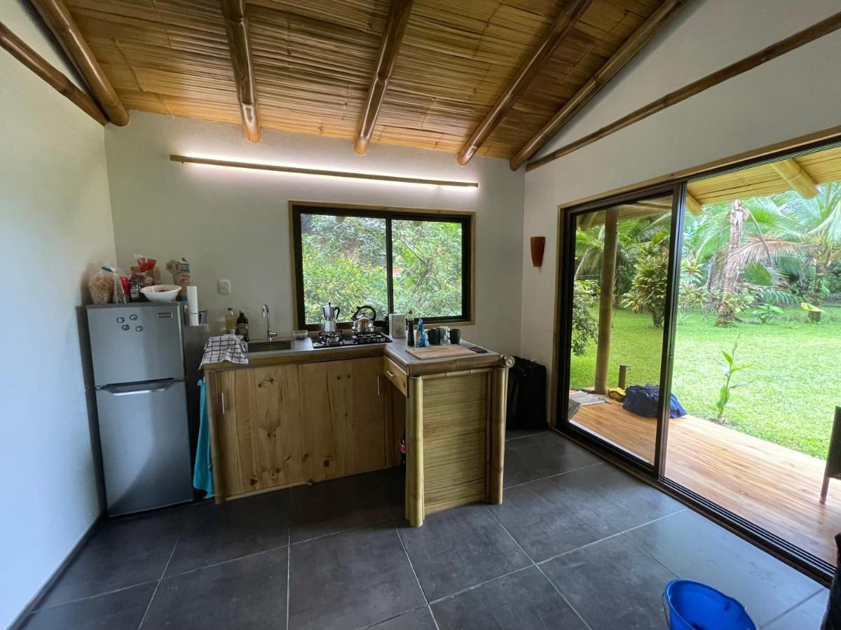 Corcovado Guest House Drakes Bay Eksteriør billede